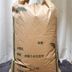 楽天市場】群馬県産 玄米の通販