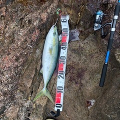 釣り仲間募集！
