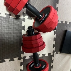 ダンベル30kg