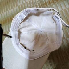 キャップ🧢の画像