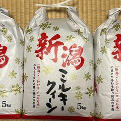 【高級銘柄新米】お米・精米 15kg　新潟県産 ミルキークィーン