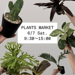 植木市(6/7)