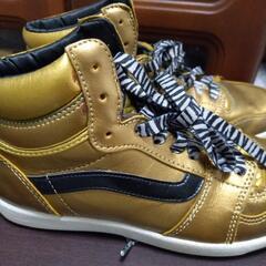 VANS　24cmの画像