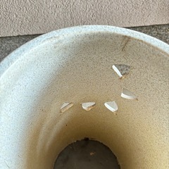 傘立て, ガーデニング,の画像