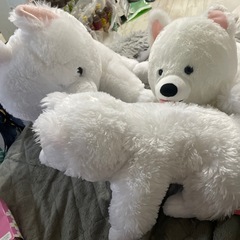 サモエド三兄弟
