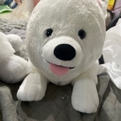 サモエド三兄弟の画像
