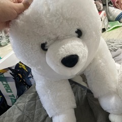 サモエド三兄弟の画像