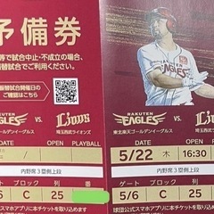 5/22 楽天vs西武　３塁側内野席