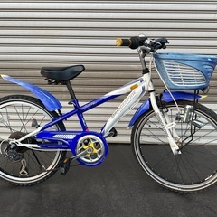 自転車7851