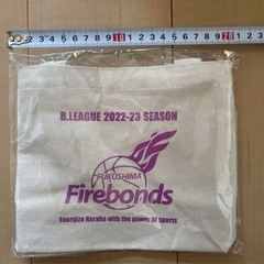 【お譲り先決まりました】ファイヤーボンズ　ミニトートの画像