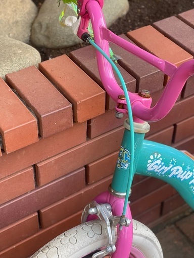 kps パウパトロール 自転車 日本未発売 キッズ ガールズ