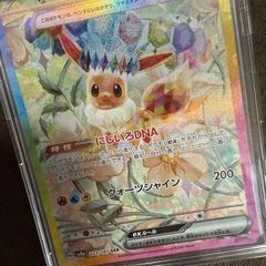 ポケモンカード★イーブイex   SAR