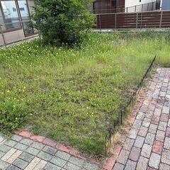 新規受付停止中　芝生をはいで土に戻してほしい。