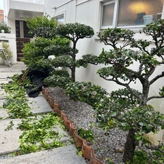 スタッフ募集！の画像