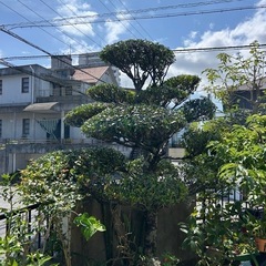 スタッフ募集！の画像