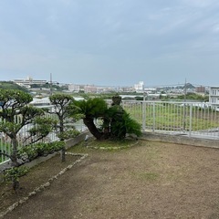 スタッフ募集！の画像