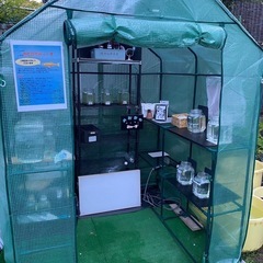 めだか無人販売