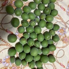 梅