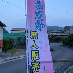 めだか無人販売の画像