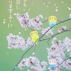 ミドル世代通話コミュニティ(  📞 ꒪꒫꒪)