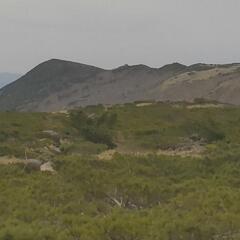 平日の登山仲間募集！(5/31で募集終了)