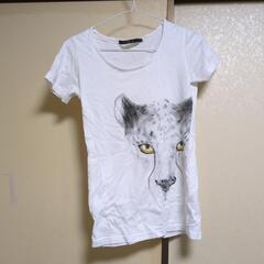 Tシャツの画像