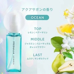 🟡【店頭価格4,950円】メデュラ　2.5°ヘアオイル　の画像