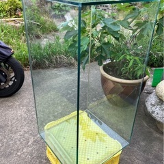 ガラス製　90センチ水槽と水槽台
の画像