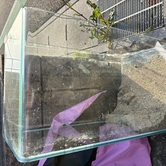 水槽の中古が安い！激安で譲ります・無料であげます｜ジモティー