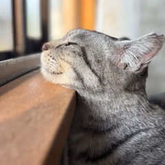 ゆっくり家族になってあげてください。