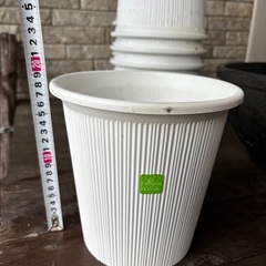 植木鉢　　15鉢セット
の画像