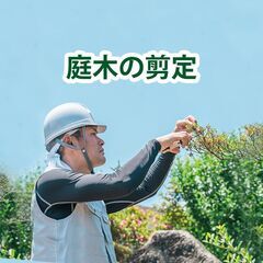植栽の抜根伐採、雑草除去、大木の枝落としなら 【植栽伐採ヘ…