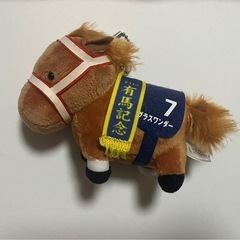 グラスワンダー7の画像
