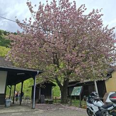 中年層のバイクツーリング……