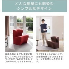 スタイルドクターチェアプラス/Style Dr.CHAIR Plus（レッド） MTG エムティージー 骨盤サポートチェア 猫背 ローチェアの画像