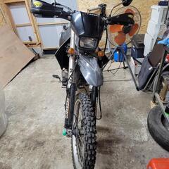 Dトラッカー250の画像