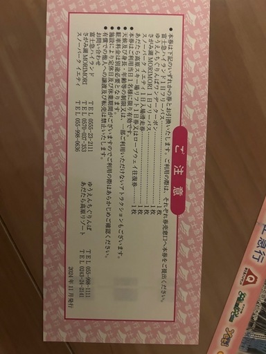 遊園地　フリーパス