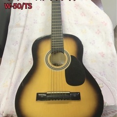 sepia crue ミニアコースティックギター　W-50/TS...