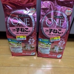 ピュリナワン 子猫用 猫フード決まりました