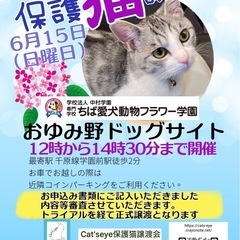 保護猫と里親様をつなぐ会　保護猫譲渡会