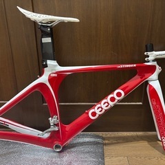 CEEPO Stinger
