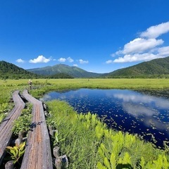 尾瀬に行きましょう