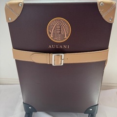 【希少品】ハワイ アウラニ ディズニーリゾート　キャリーケース　...