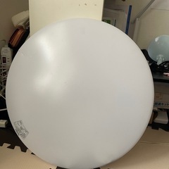 電球