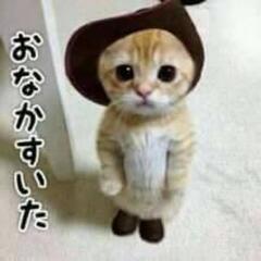 LINEからの～友達作りしましょ