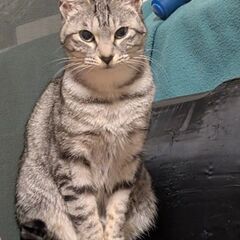 ユキちゃん