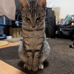 ユキちゃん