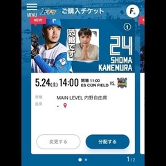 【エスコン】にじホロ交流戦　自由席チケット2枚の画像