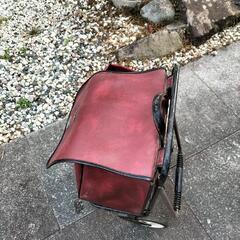 シルバーキャリーの画像