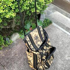 シルバーキャリー